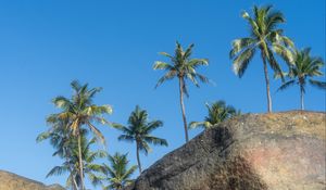 Preview wallpaper palm trees, rocks, stones, tropics, sky