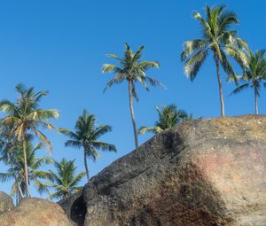 Preview wallpaper palm trees, rocks, stones, tropics, sky