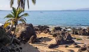 Preview wallpaper palm trees, sand, beach, tropics, sea, nature