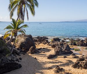 Preview wallpaper palm trees, sand, beach, tropics, sea, nature