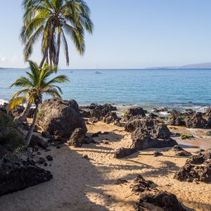 Preview wallpaper palm trees, sand, beach, tropics, sea, nature