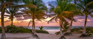 Preview wallpaper palm trees, sand, beach, sea, tropics