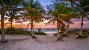 Preview wallpaper palm trees, sand, beach, sea, tropics