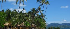 Preview wallpaper palm trees, sand, beach, summer