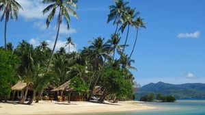 Preview wallpaper palm trees, sand, beach, summer