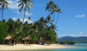 Preview wallpaper palm trees, sand, beach, summer