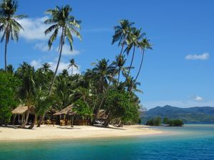 Preview wallpaper palm trees, sand, beach, summer