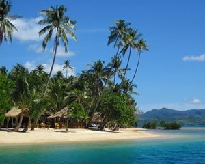 Preview wallpaper palm trees, sand, beach, summer