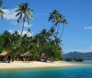 Preview wallpaper palm trees, sand, beach, summer