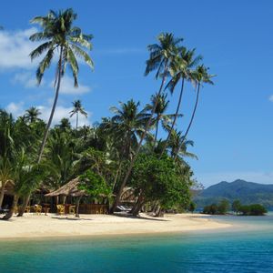 Preview wallpaper palm trees, sand, beach, summer