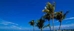 Preview wallpaper palm trees, sand, beach, summer