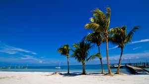 Preview wallpaper palm trees, sand, beach, summer