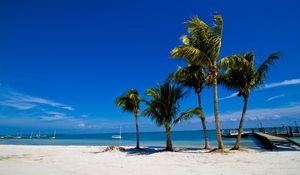 Preview wallpaper palm trees, sand, beach, summer