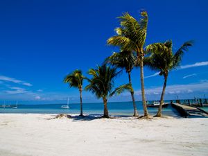 Preview wallpaper palm trees, sand, beach, summer