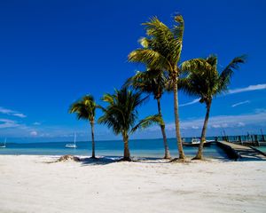 Preview wallpaper palm trees, sand, beach, summer