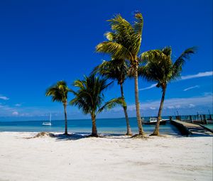 Preview wallpaper palm trees, sand, beach, summer