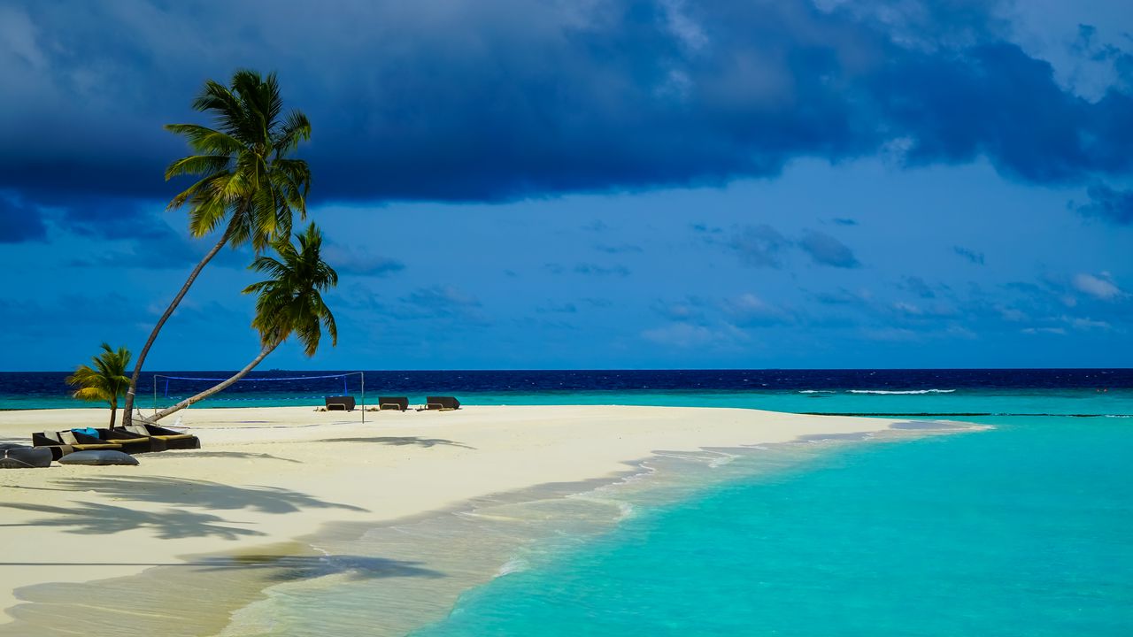 Wallpaper palm trees, sand, ocean, tropics