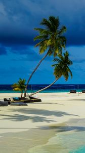 Preview wallpaper palm trees, sand, ocean, tropics