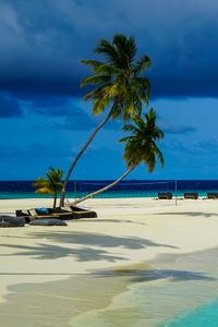 Preview wallpaper palm trees, sand, ocean, tropics