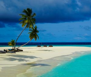 Preview wallpaper palm trees, sand, ocean, tropics