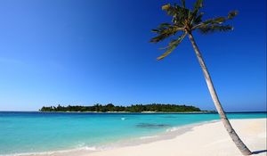 Preview wallpaper palm trees, sand, sea