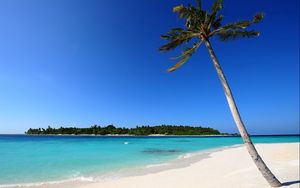 Preview wallpaper palm trees, sand, sea