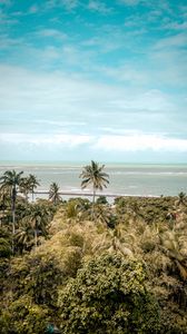 Preview wallpaper palm trees, sea, beach, tropics