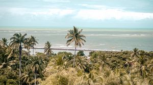 Preview wallpaper palm trees, sea, beach, tropics