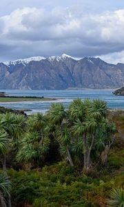 Preview wallpaper palm trees, sea, mountains, tropics