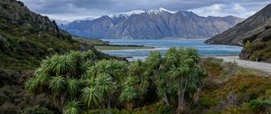 Preview wallpaper palm trees, sea, mountains, tropics