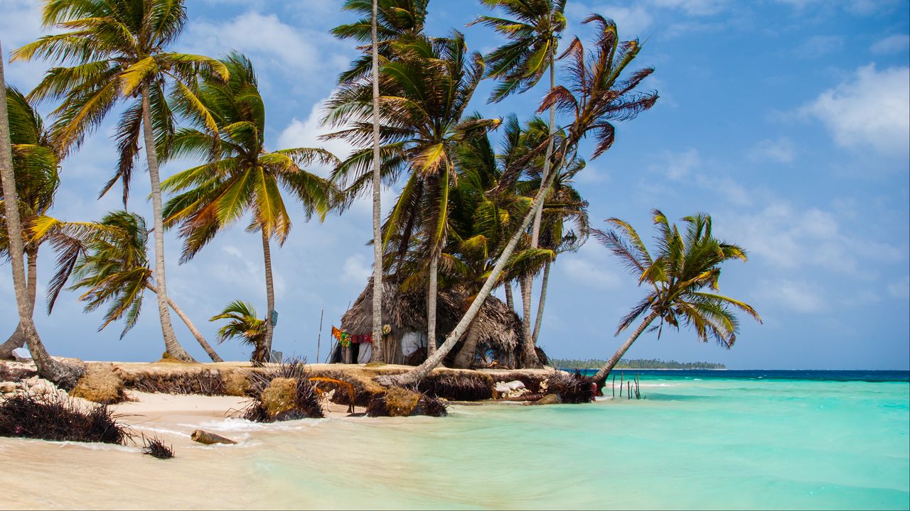 Wallpaper palm trees, sea, sand, tropics, sky, nature