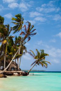 Preview wallpaper palm trees, sea, sand, tropics, sky, nature