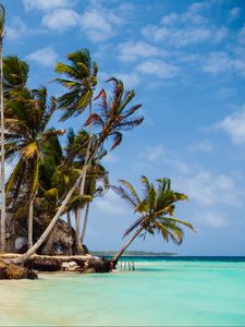 Preview wallpaper palm trees, sea, sand, tropics, sky, nature