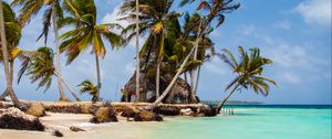 Preview wallpaper palm trees, sea, sand, tropics, sky, nature