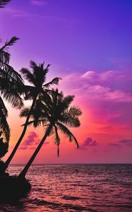 Preview wallpaper palm trees, sea, sunset, twilight, dark, tropics