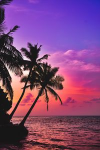 Preview wallpaper palm trees, sea, sunset, twilight, dark, tropics