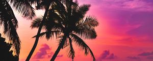 Preview wallpaper palm trees, sea, sunset, twilight, dark, tropics