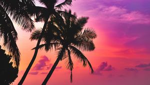 Preview wallpaper palm trees, sea, sunset, twilight, dark, tropics