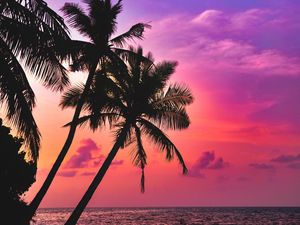 Preview wallpaper palm trees, sea, sunset, twilight, dark, tropics