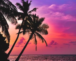 Preview wallpaper palm trees, sea, sunset, twilight, dark, tropics