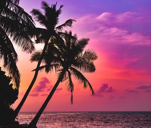 Preview wallpaper palm trees, sea, sunset, twilight, dark, tropics