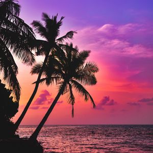 Preview wallpaper palm trees, sea, sunset, twilight, dark, tropics