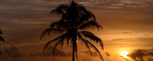 Preview wallpaper palm trees, sea, tropics, twilight, dark