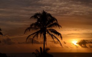Preview wallpaper palm trees, sea, tropics, twilight, dark