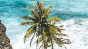 Preview wallpaper palm trees, sea, waves, tropics