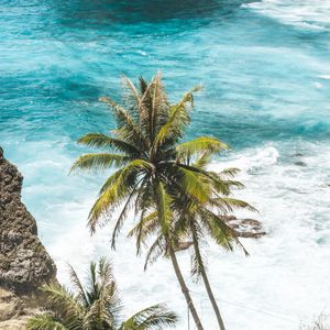 Preview wallpaper palm trees, sea, waves, tropics
