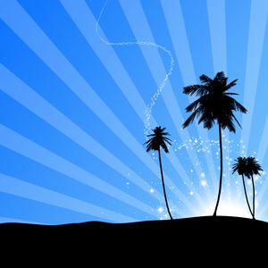 Preview wallpaper palm trees, silhouette, glare, art