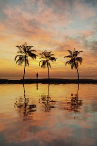 Preview wallpaper palm trees, silhouette, sea, water, sunset