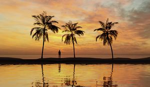 Preview wallpaper palm trees, silhouette, sea, water, sunset