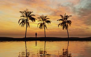 Preview wallpaper palm trees, silhouette, sea, water, sunset